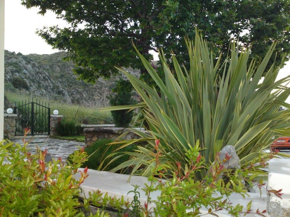 Appartement Elia *